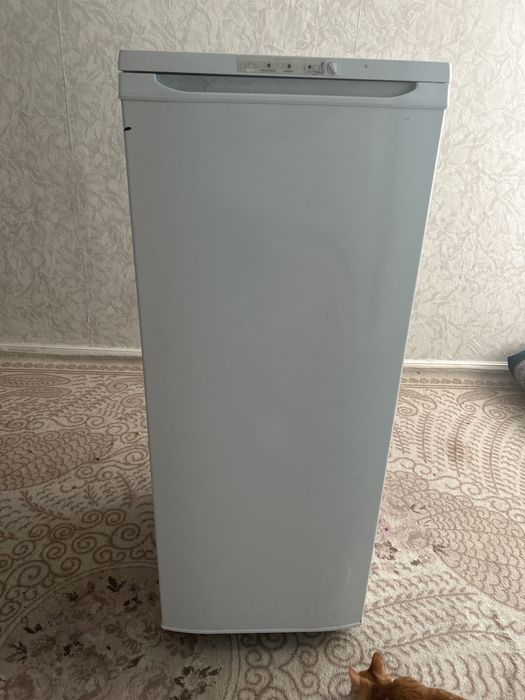 Холодильник «бирюса»