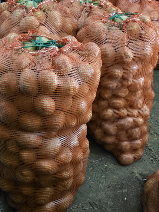 Картошка Домашняя