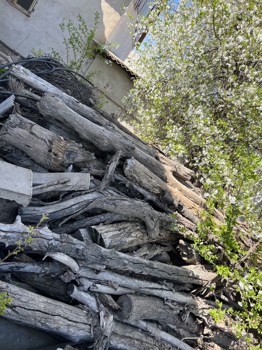 Отын сатылады. Абайда. Багасын келисемиз