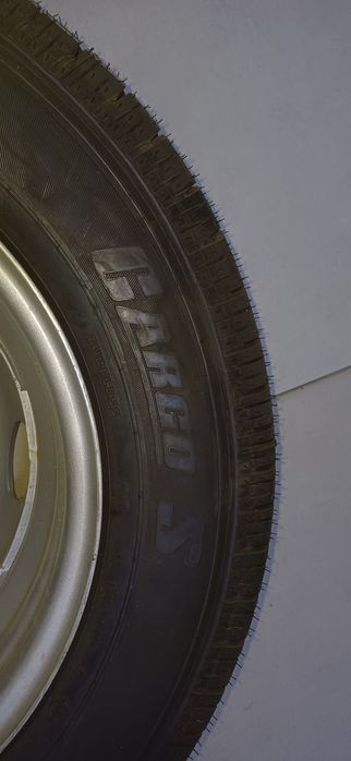 Balon Gazel + diskasi bilan yangi