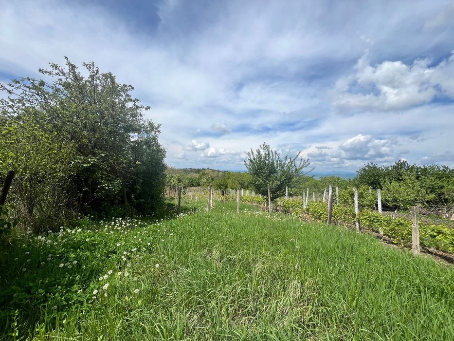 Teren Intravilan - Seciu