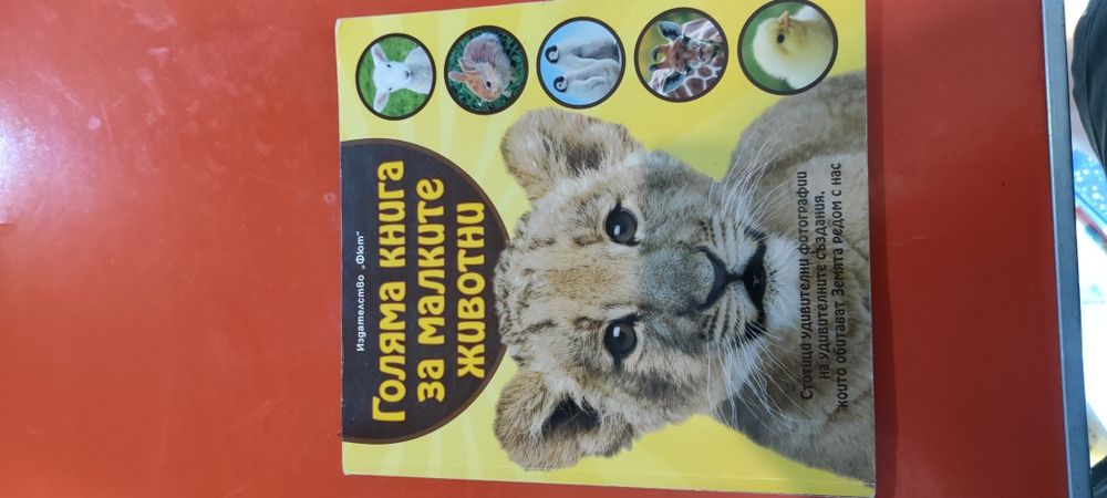 Детски енциклопедии