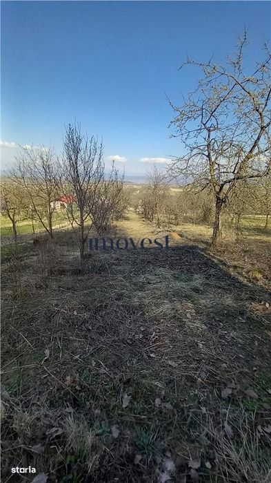 De vanzare teren extravilan in Orasul Nou