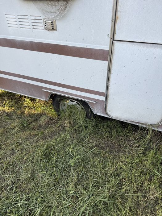 Rulota caravan wilk