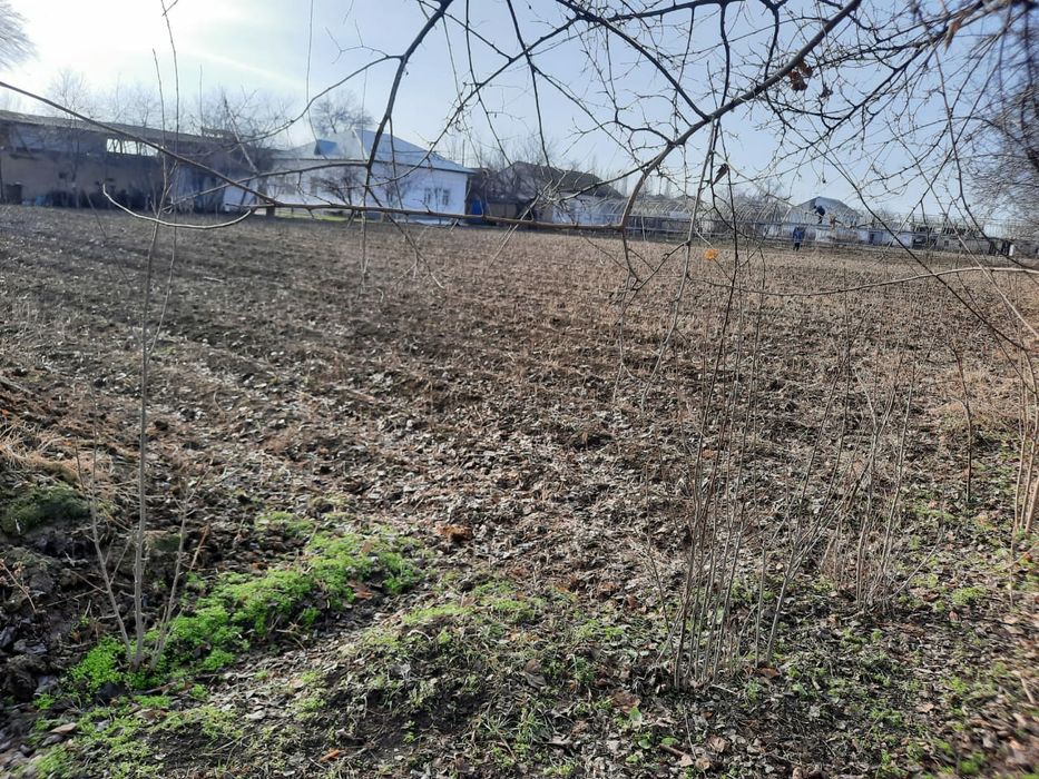 Ховлии уй сотилади