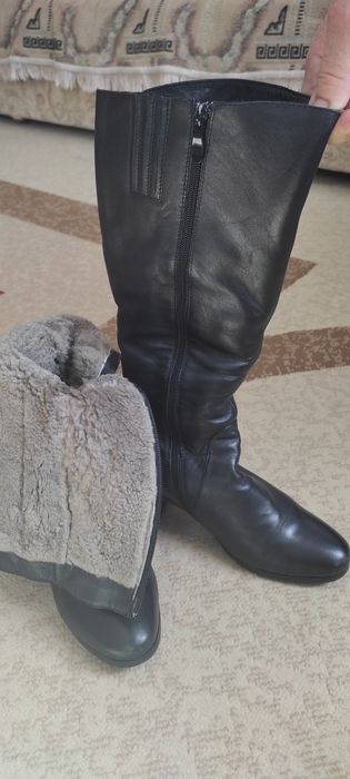 Женская обувь сапоги