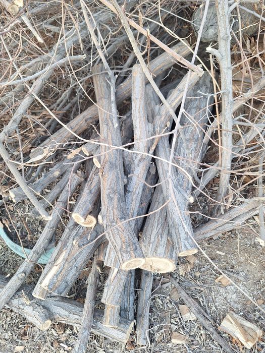 Кесілген тал отынға