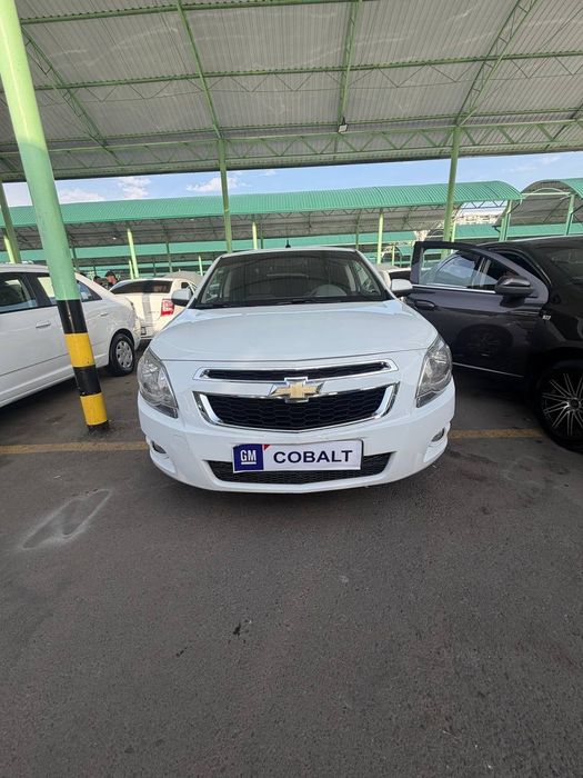 SROCHNA sotiladi oq kobalt