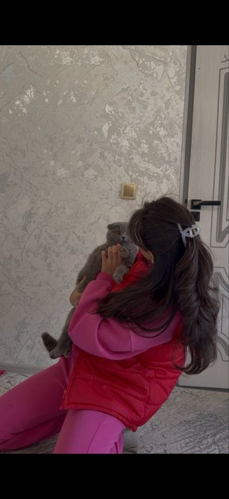 Paroda mushuk sotiladi, srochnaga