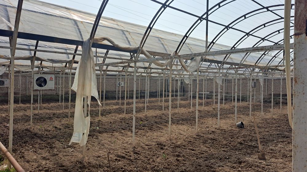 Теплица Парник 3 дона