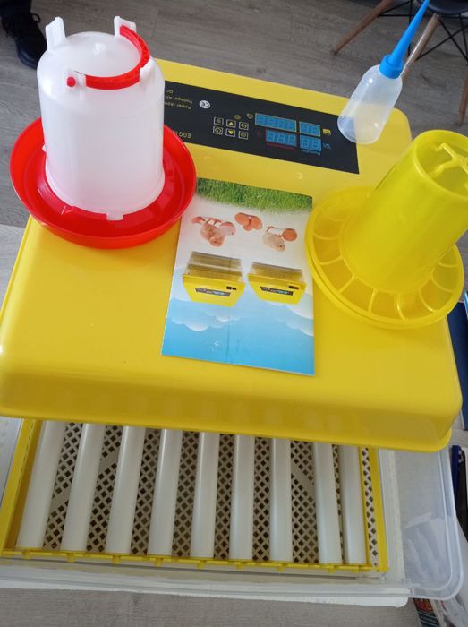 Inkubatorlar, Xitoyning moli