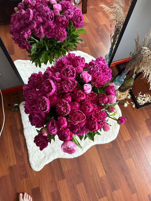 Ароматные пионы