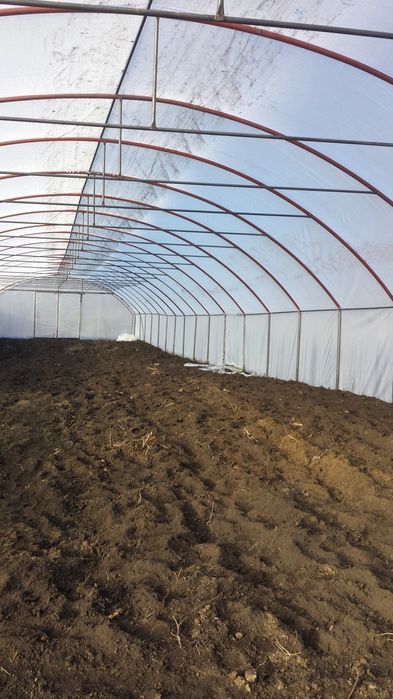 Solarii pentru capsuni   si legumeieftine de calitate