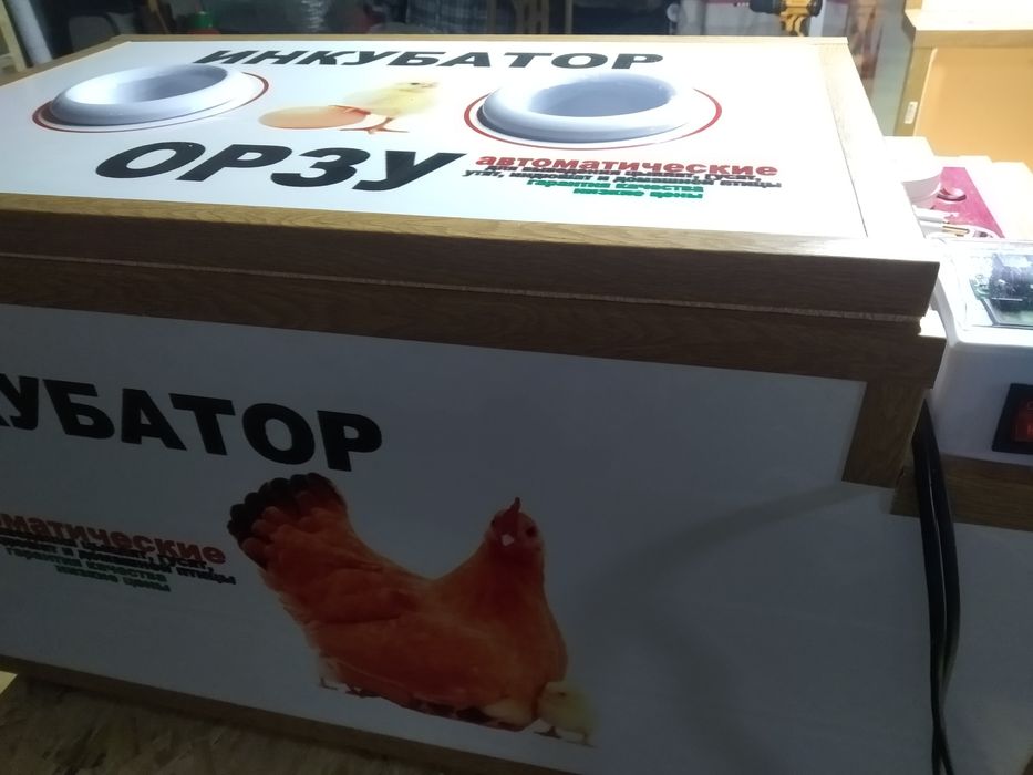 Инкубатор орзу-100