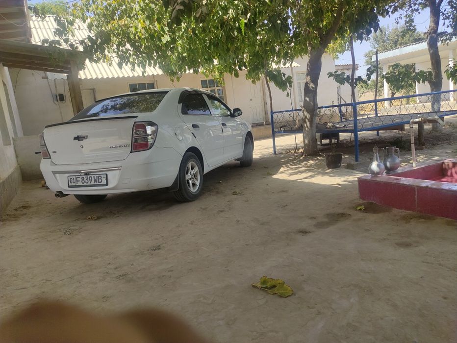 Minib. Mazza qilish kerag boldi