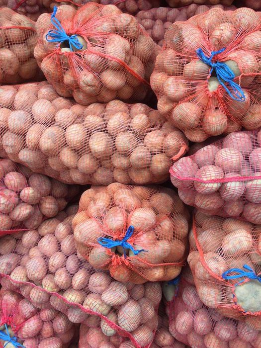 cartofi consum si samanta