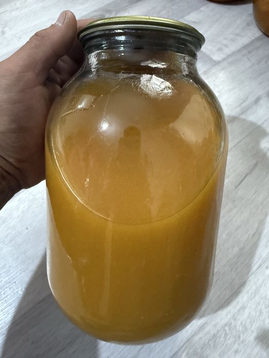 Натуральный сок”Өрік жемісі”