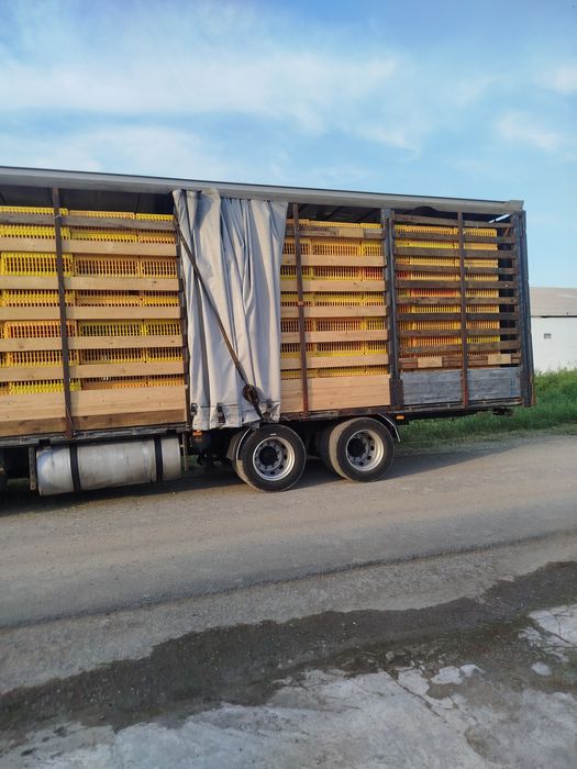 Volvo F12 sotiladi