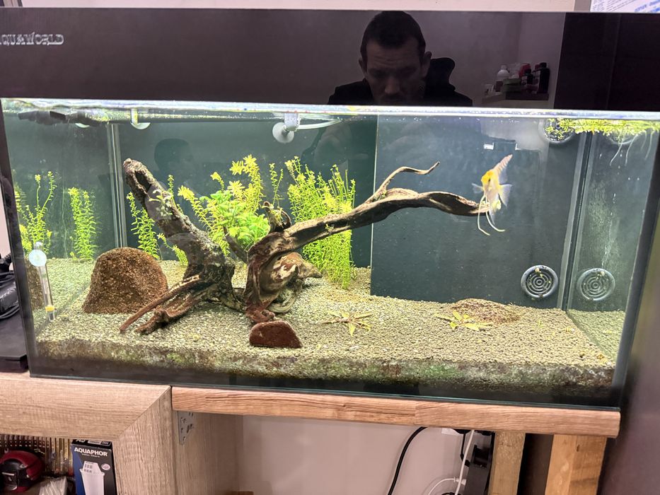 Аквариуми 2 броя