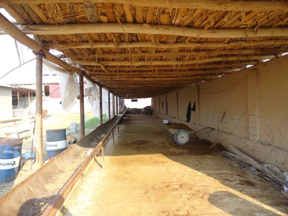 Участок с фермой 40соток срочно