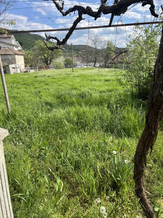 Парцел с къща 1489 кв.м с. Памукчии, обл. Шумен