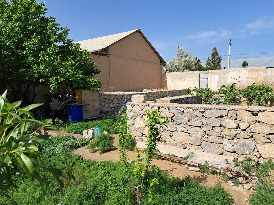 Hovli 5 sotix sotiladi