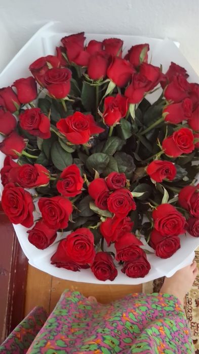 51 штук розаа красный туркестан