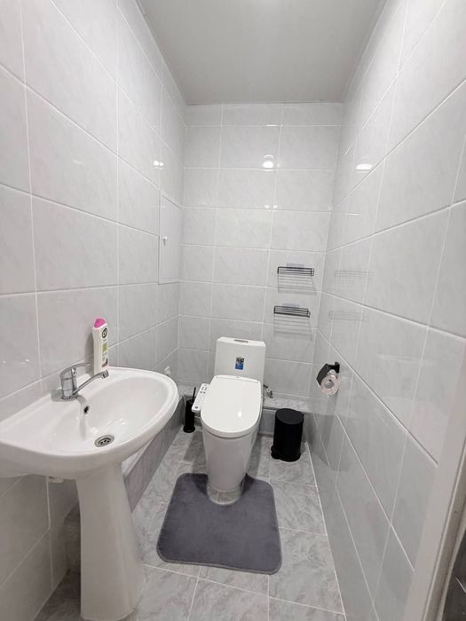 Мирзо Улугбек аренда семя и студентов