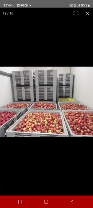 Продава се Промишлена сграда в с. Лозно, Област Кюстендил - 1400 кв.м за 729 €/кв.м - Снимка #6