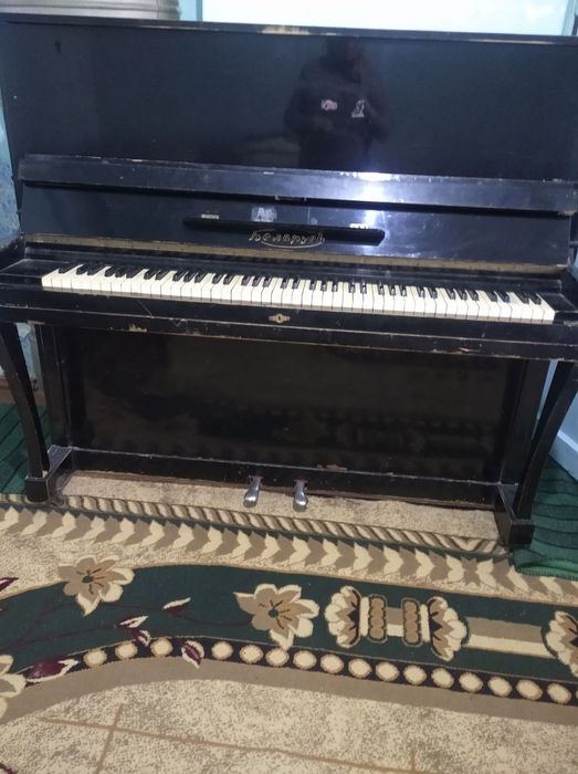 Pionina BELORUS пианино