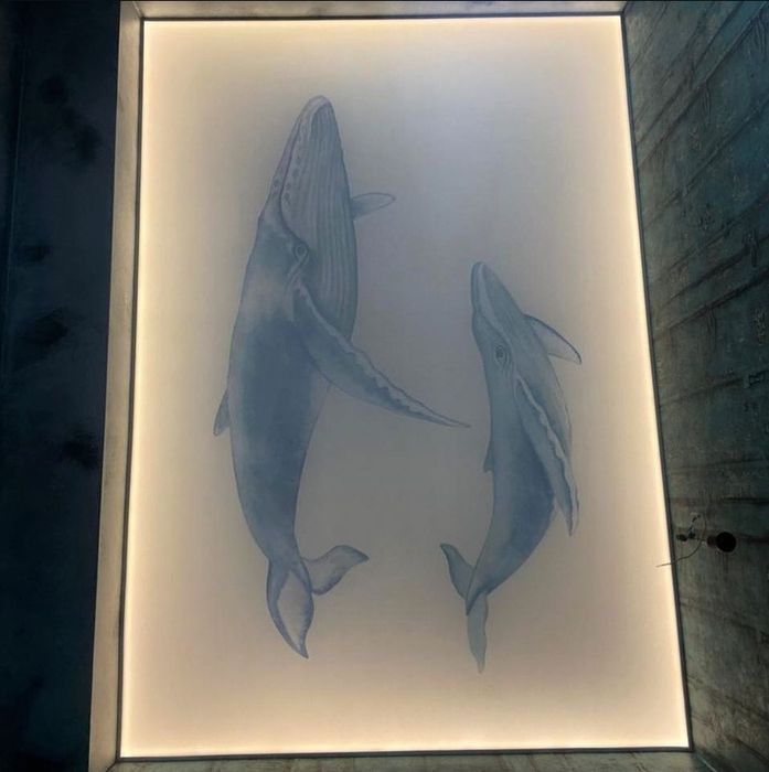 Натяжные потолки к вашему услугу!