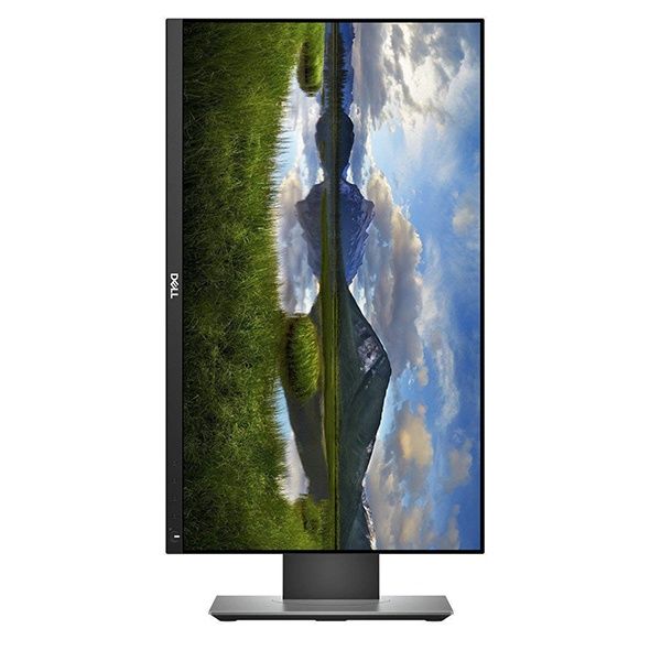 Монитор DELL 2419H