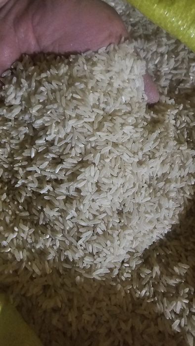 Tuyma lazer guruch sotiladi. 10 000 som narxi.