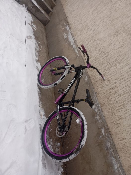 Modris стант велик