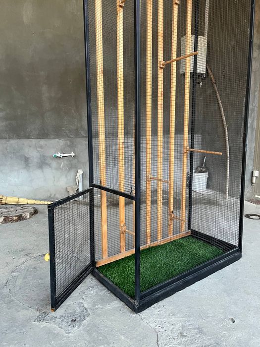 Кафас сотилади холати йенги