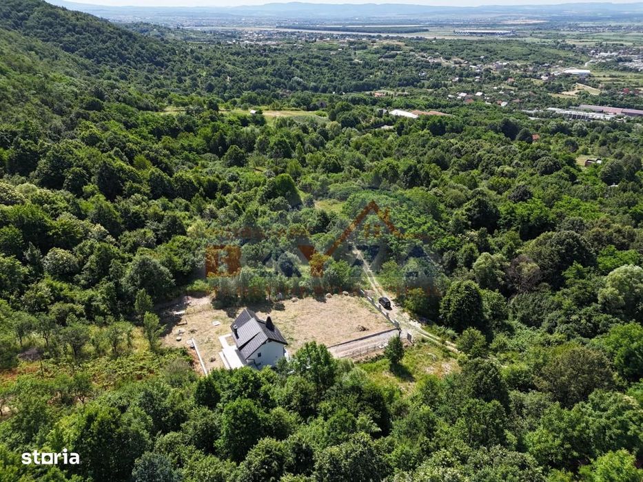 Casă superba P+E+M, teren 5.000 mp – Viile Cicârlăului