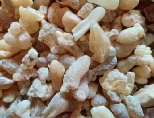 Бял Тамян от ОМАН натурален