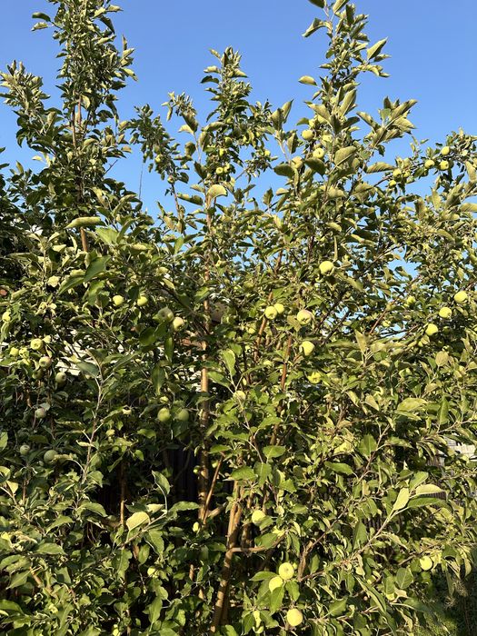 Продам  трехуровневый коттедж