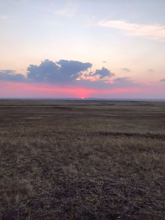 Продам крестьянское хозяйство