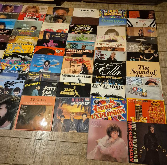 Lot 100 Viniluri