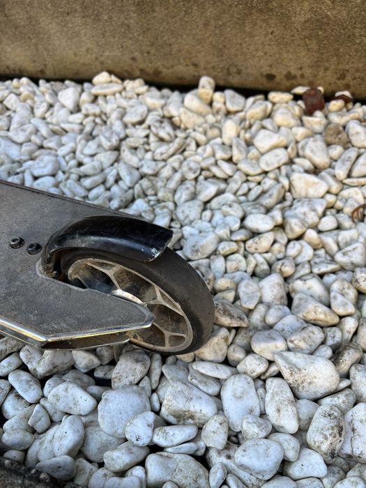 Trotinetă Oxelo freestyle MF 3.6 V5 Neocrom