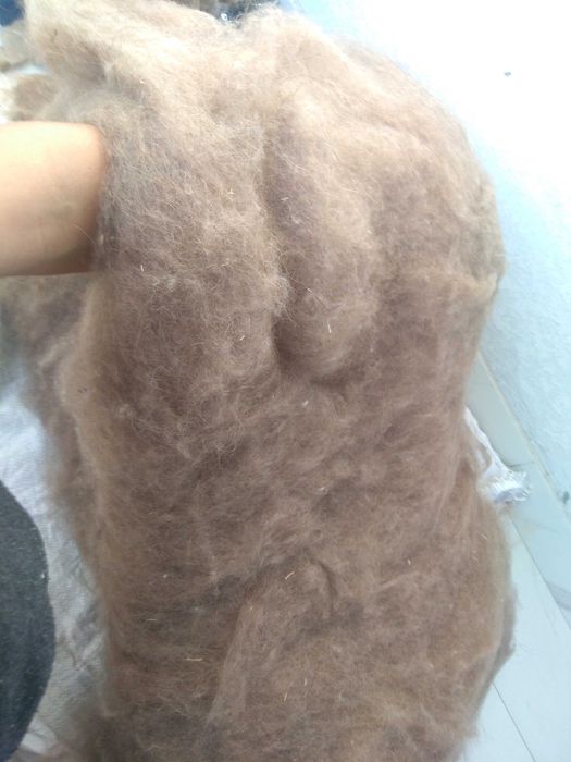 шерсть верблюда для одеяла и лечения