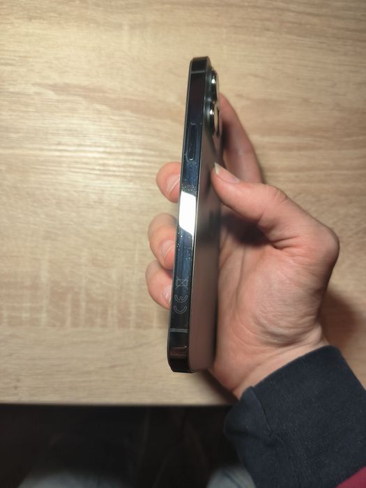 iPhone 13 pro 100%