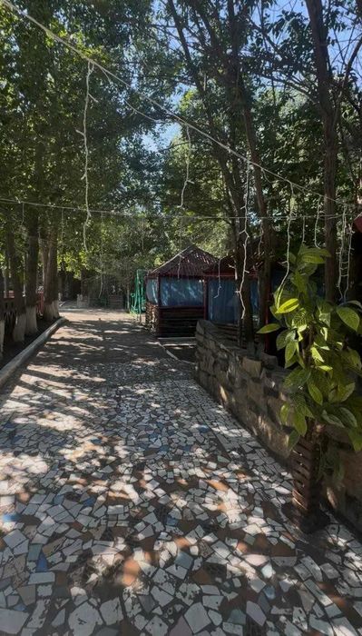 Ресторан, кафе, бар