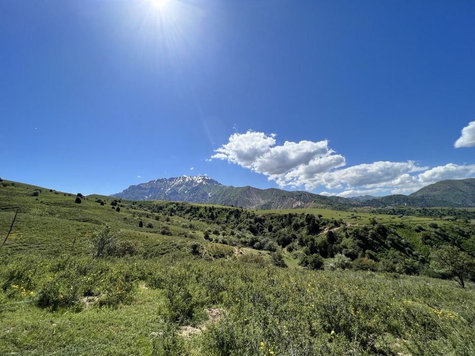 СРОЧНО! Продаётся уникальный земельный участок в горах Чимгана!