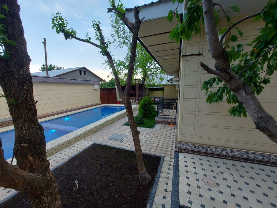 Nega odamlar porno oxirida yuzlariga urilishadi?