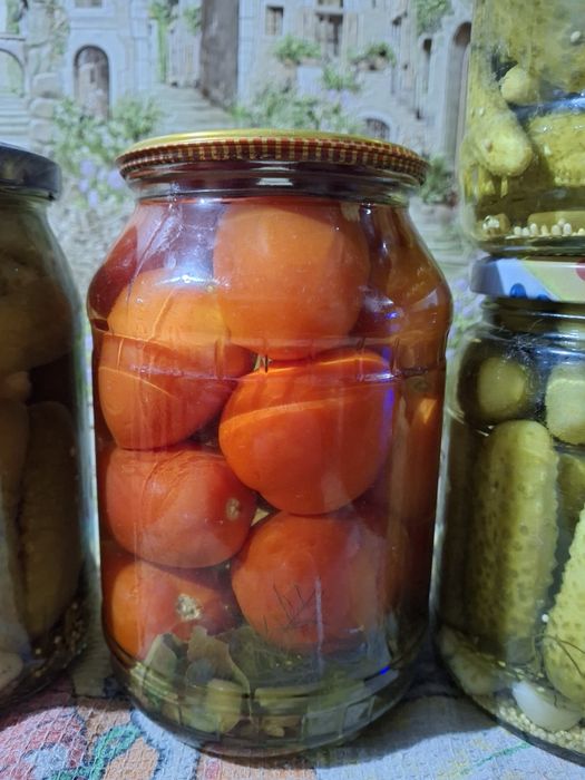 Продам  огурцы,помидорки,ассорти