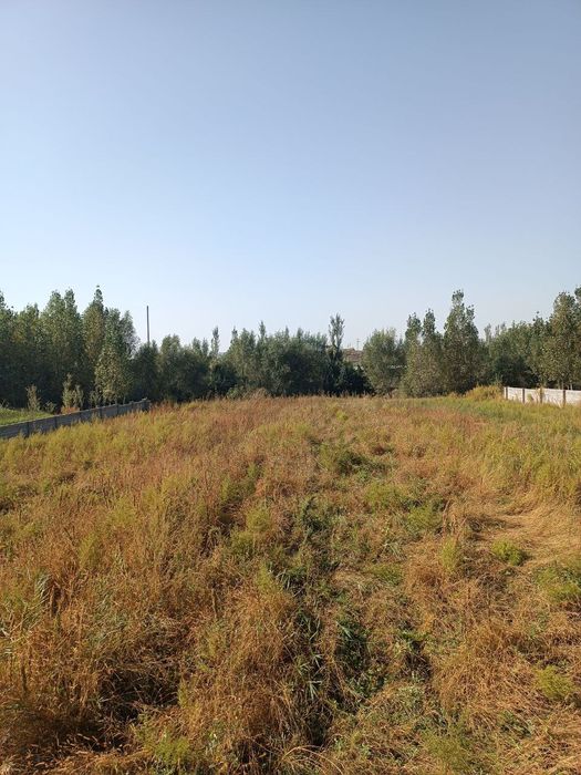 25 сутик участка,шлакоблок билан ураган,хужжатлари жойида.