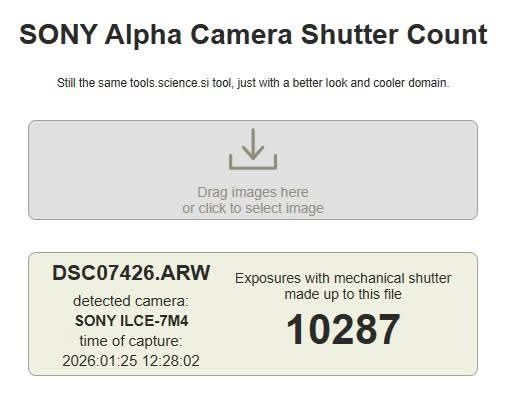 Sony A7 IV + Sigma 24-70mm f/2.8 DG DN II Art