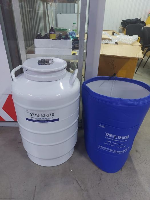 Изабелла Дантонмен итальяндық порно